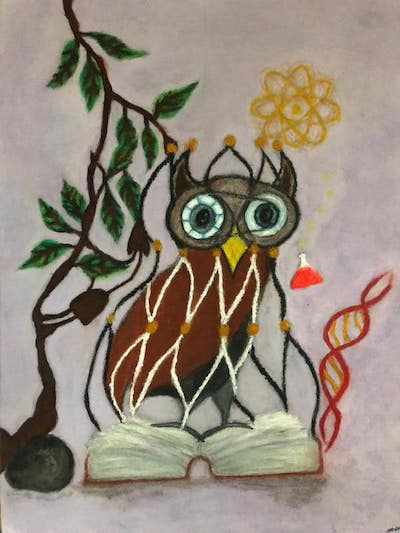 Neural Owl