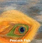 Peacock Fish thumbnail