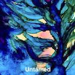 Untamed thumbnail