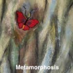 Metamorphosis thumbnail